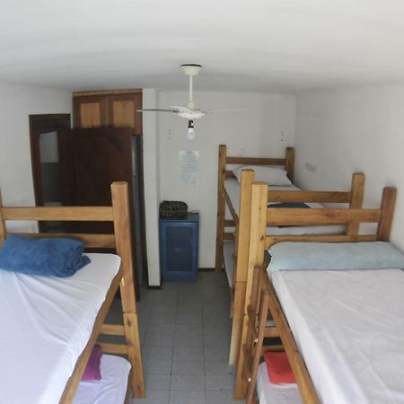 Gokai Hostel Флорианополис Экстерьер фото
