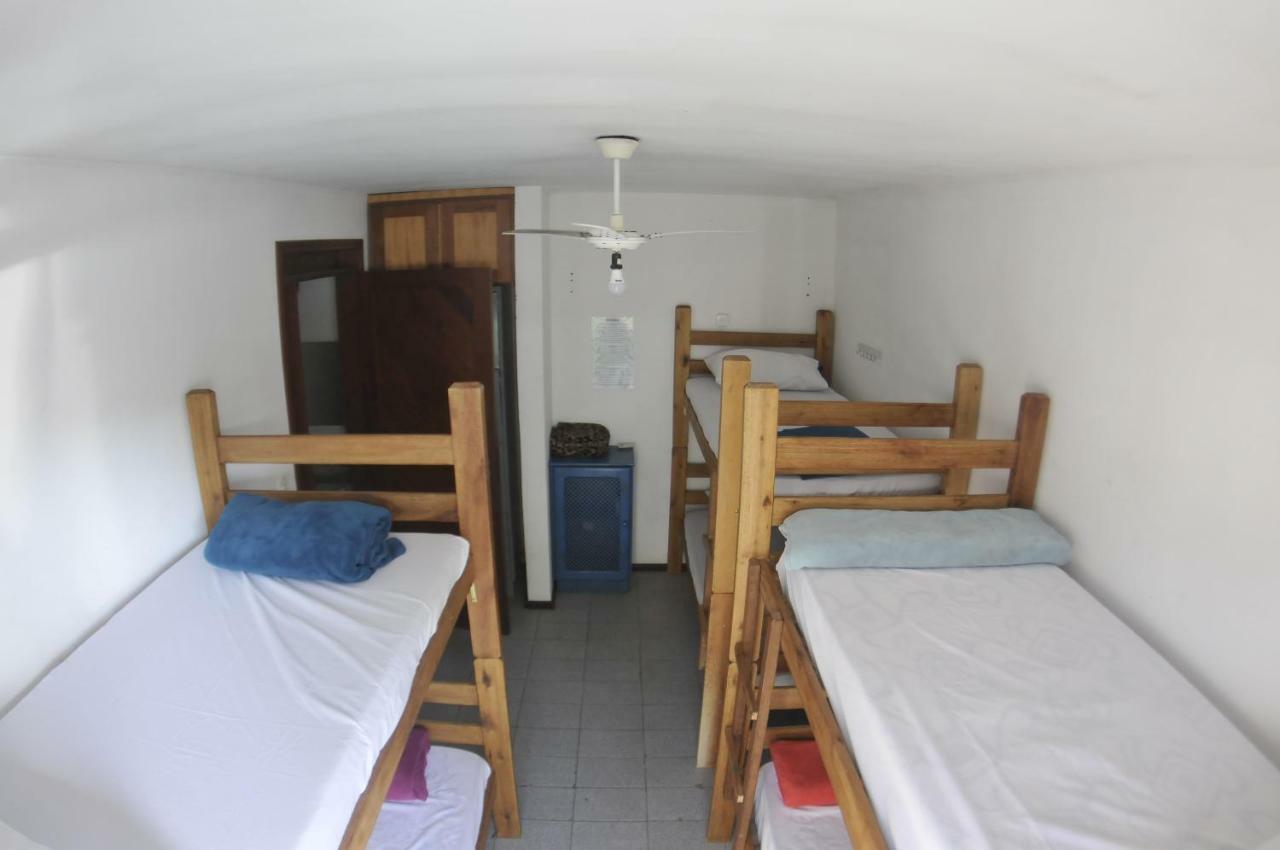 Gokai Hostel Флорианополис Экстерьер фото